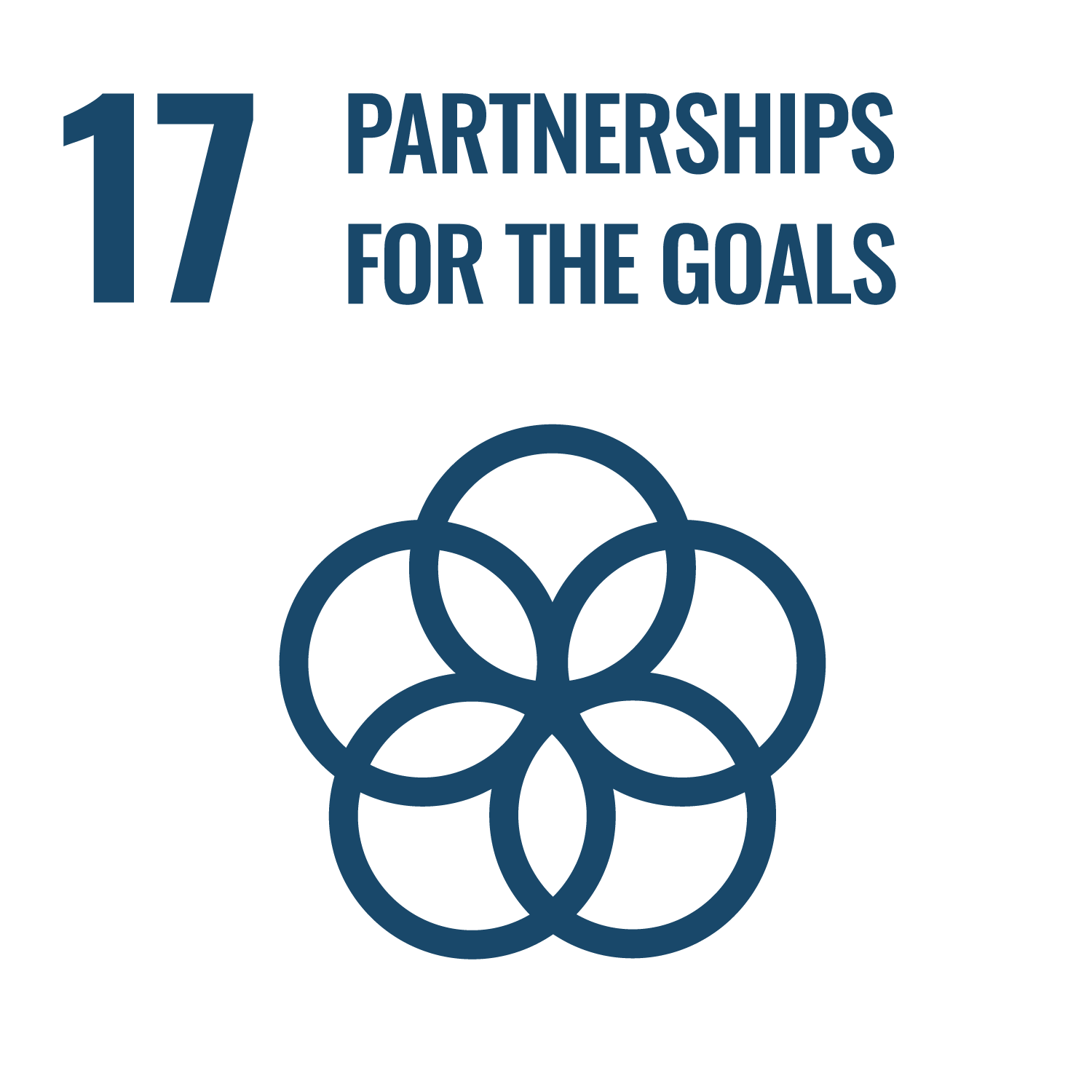 Partnership for the goals 17 Logo